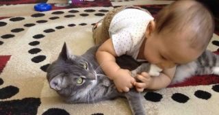 20 смешных и трогательных фото общения детей и котов