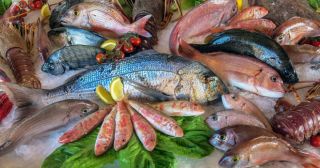 6 сортов рыбы, которые  могут нанести вред нашему здоровью