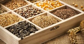 Полезные семена: 5 доступных суперфудов для красоты и здоровья