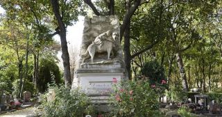 В память о питомце: 7 городских кладбищ для домашних животных