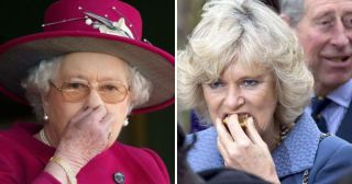 25 фото, за которые стыдно членам королевской семьи Великобритании