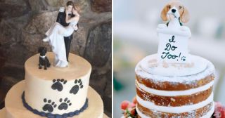 Новый тренд среди собачников: свадебные торты с четвероногими любимцами