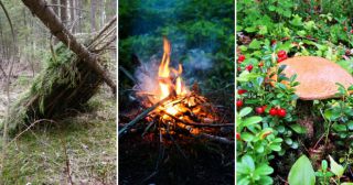 11 советов, которые помогут выжить в лесу