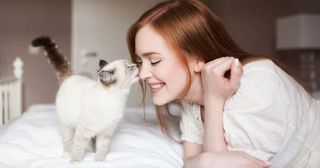 9 причин завести кошку