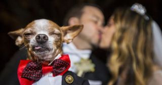 25 свадебных фото, которые завораживают