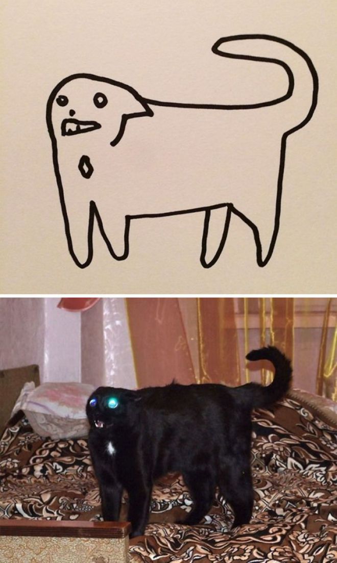 Это не рисунки не правильные, а коты