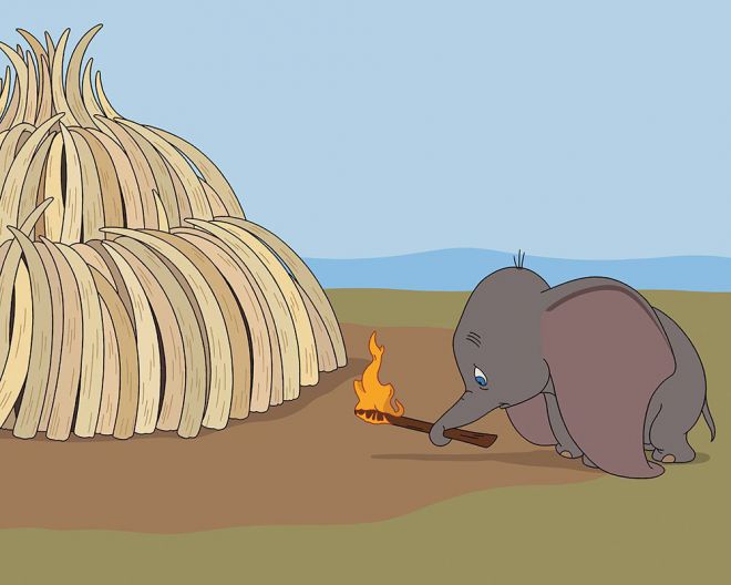 Малыш Дамбо не в силах смотреть на склад слоновой кости