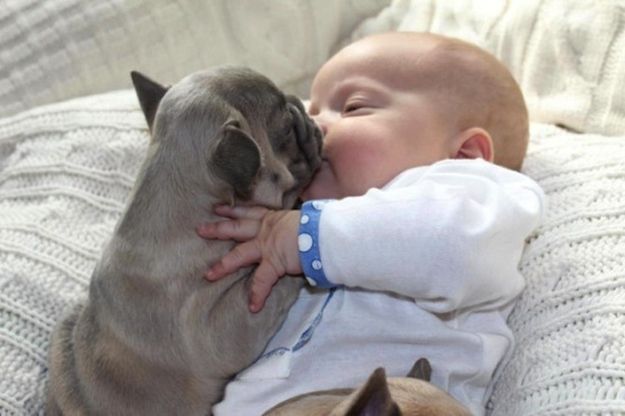 Младенец целует щенка
