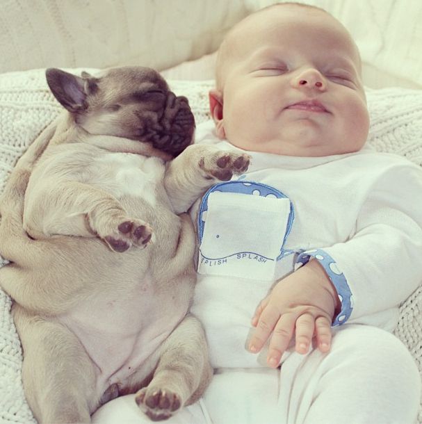 Спящий ребенок и щенок