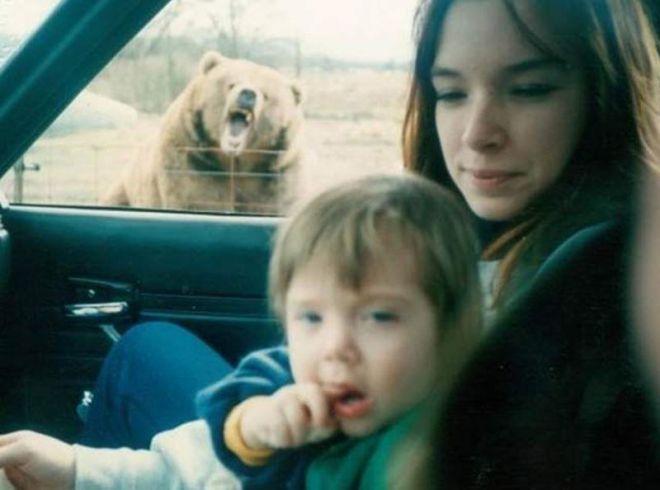 Медведь возле машины туристов
