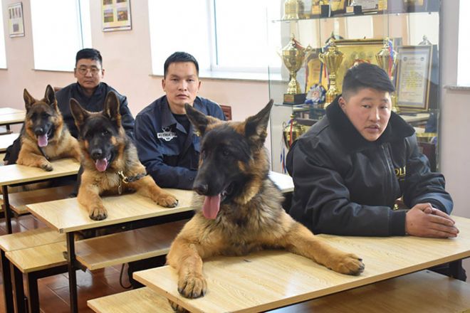 Полицейские с собаками за партами