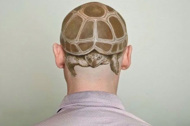 Черепаха на голове