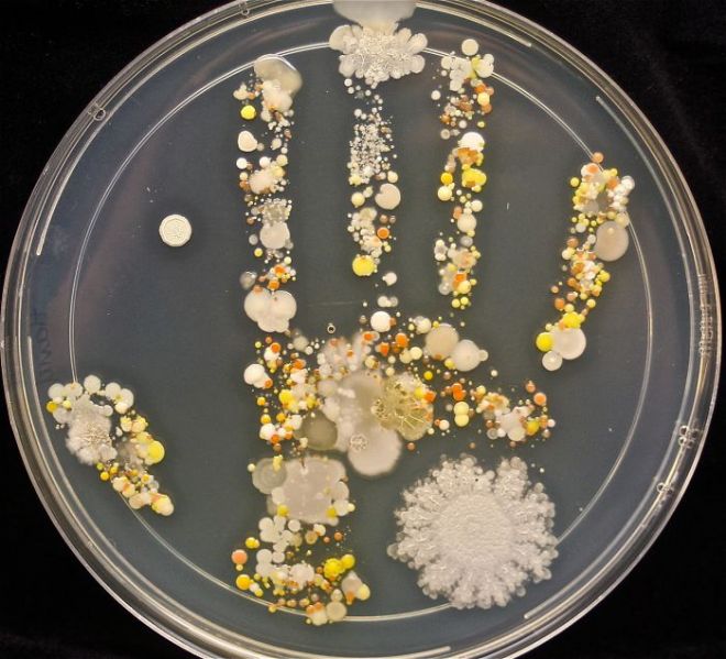 Микробы руки