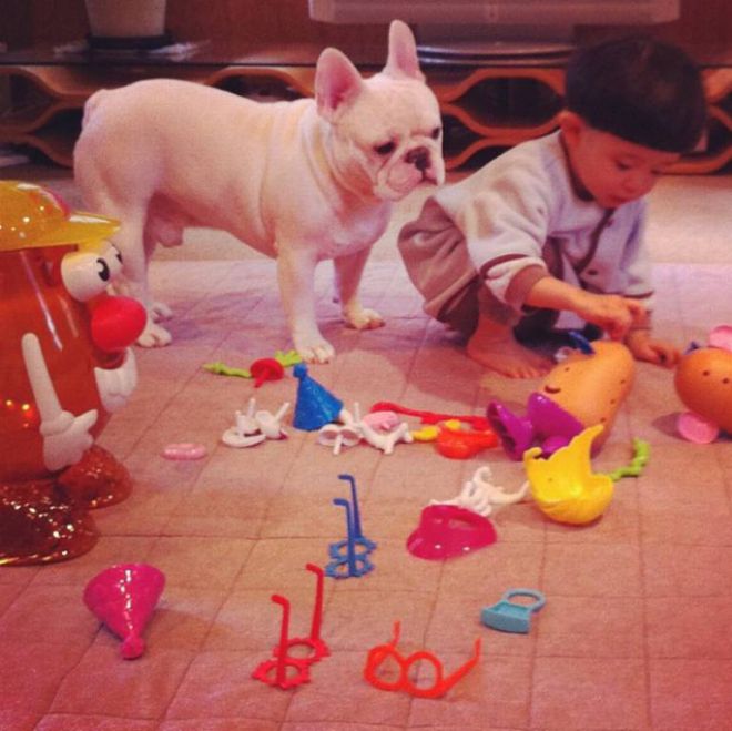 Собака с ребенком играют игрушками