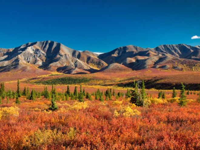 Денали – национальный парк и заповедник Аляски, США