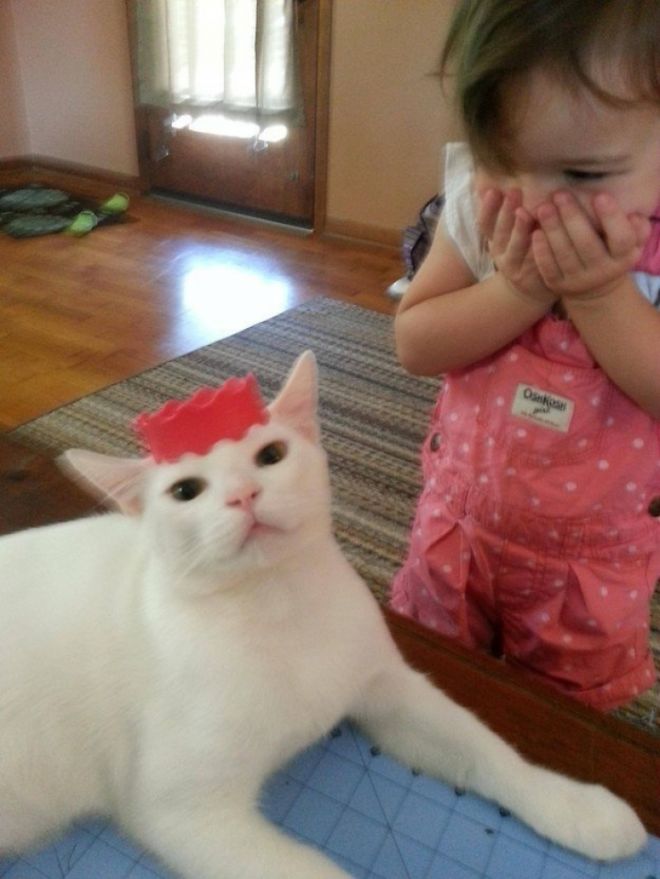 Девочка и белый кот