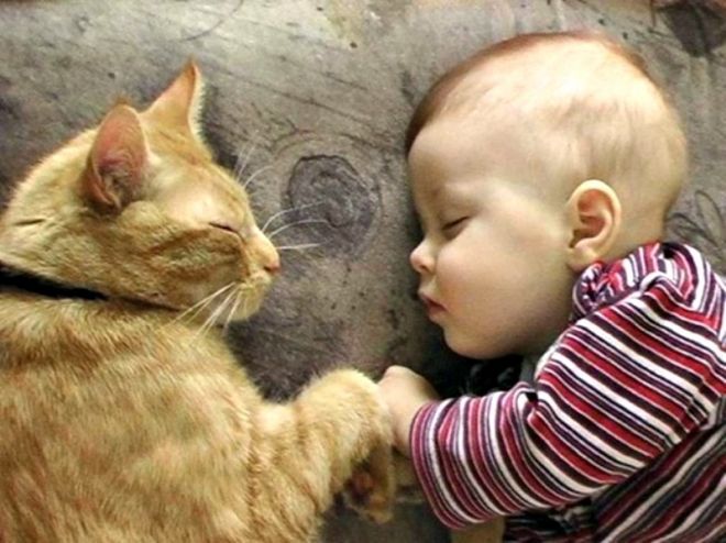 Младенец и кот