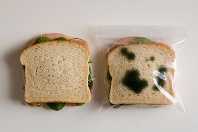 Пакеты для бутербродов с плесенью