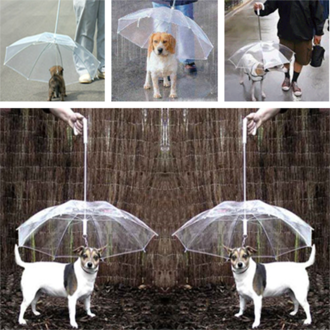 Зонтики для собак
