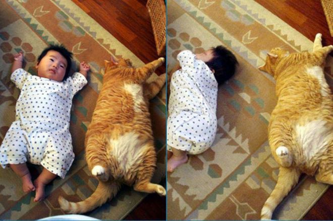 Кот и малыш валяются на кровати