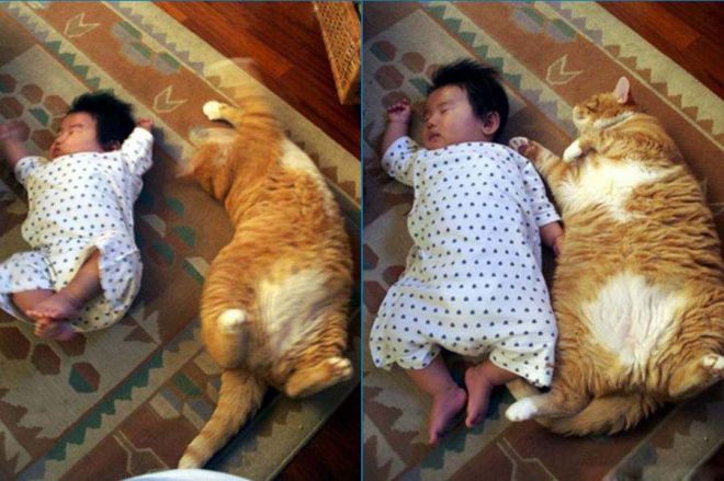 Кот и малыш спят