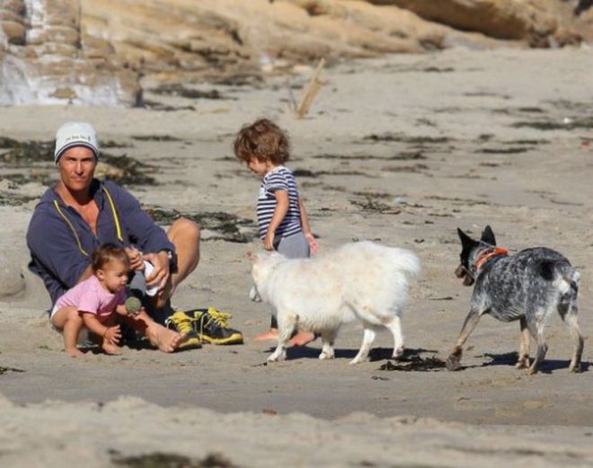 Мэттью с детьми и собаками