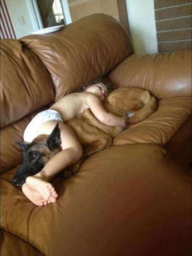 Ребенок спит крепко обняв собаку