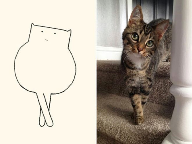 рисунок кошки