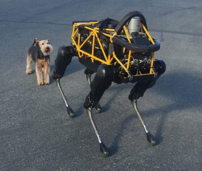 Робот с собакой