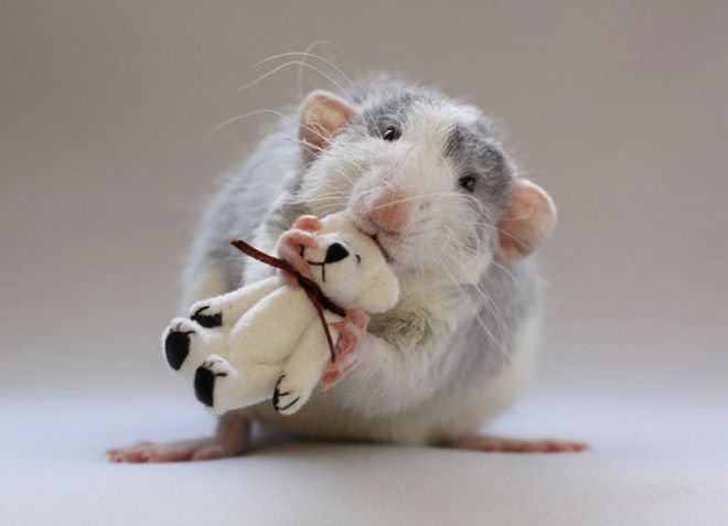 Крыса с мишкой