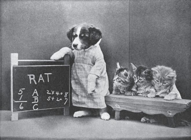 Ученый щенок