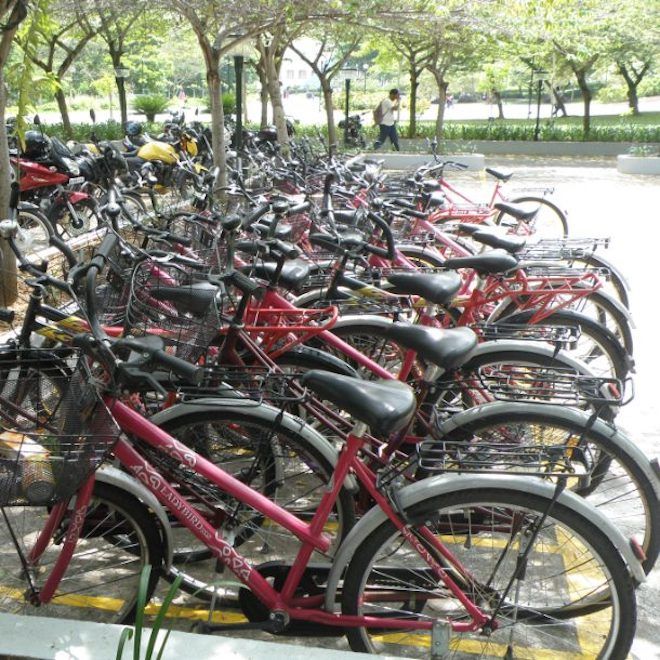 Велосипеды на парковке
