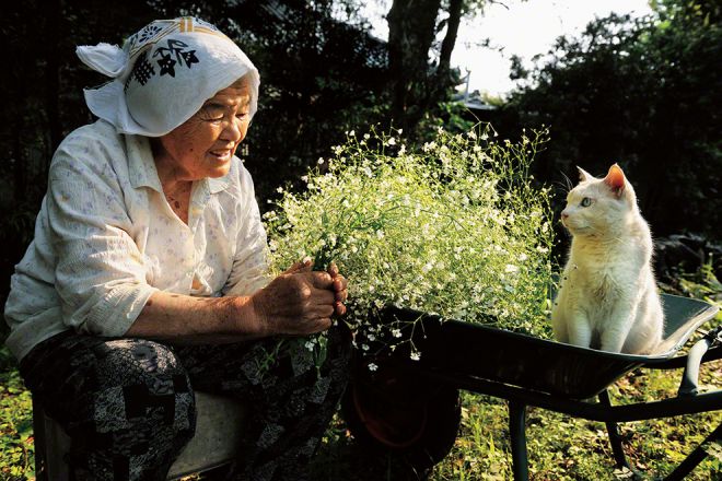 Бабушка с котом нюхают цветы
