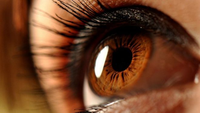 18 удивительных фактов о светло-карих глазах