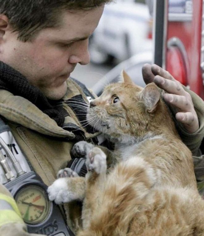 Котик с пожарным