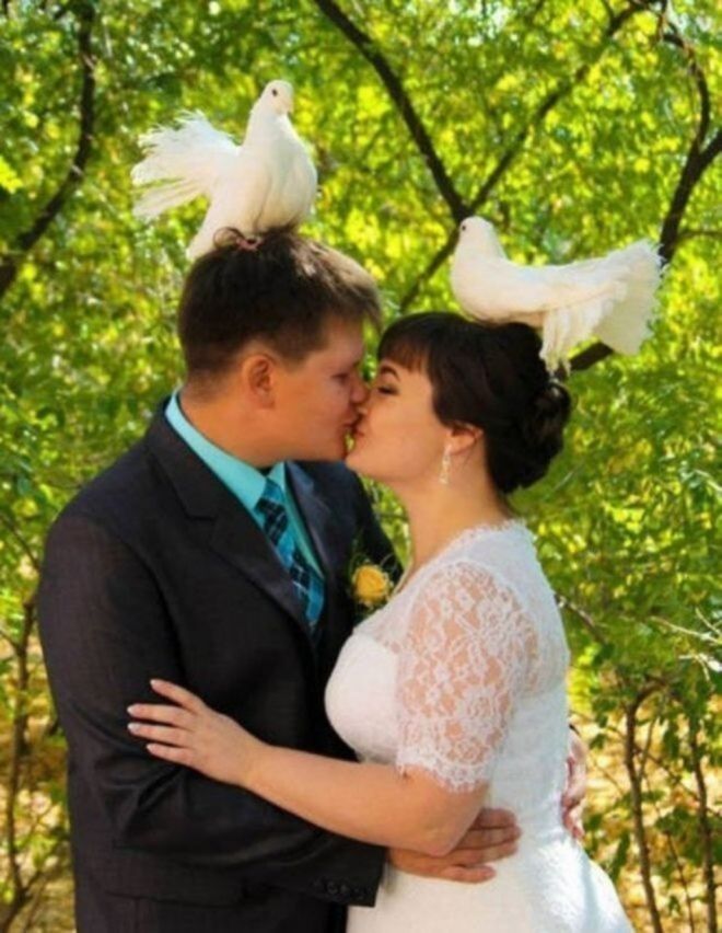 Русскую свадьбу умом не понять: 25 «угарных» фотографий  1na_schaste