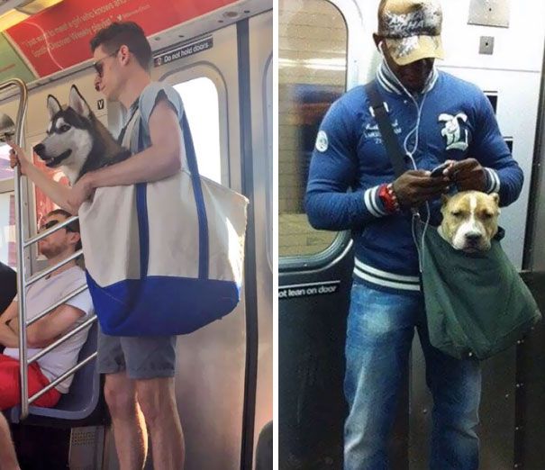 В нью-йоркских метро ездить стало еще интереснее