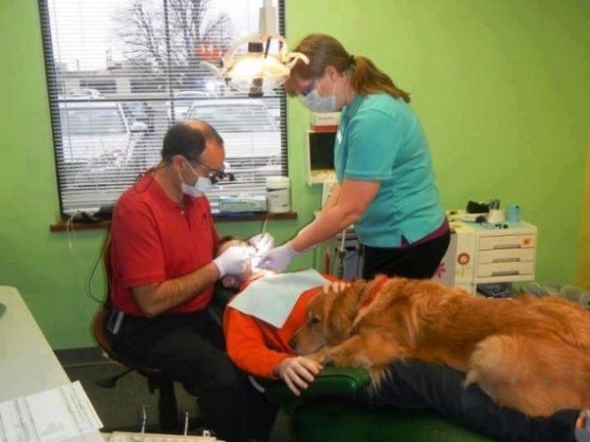Собака поддерживает человека на приеме у врача