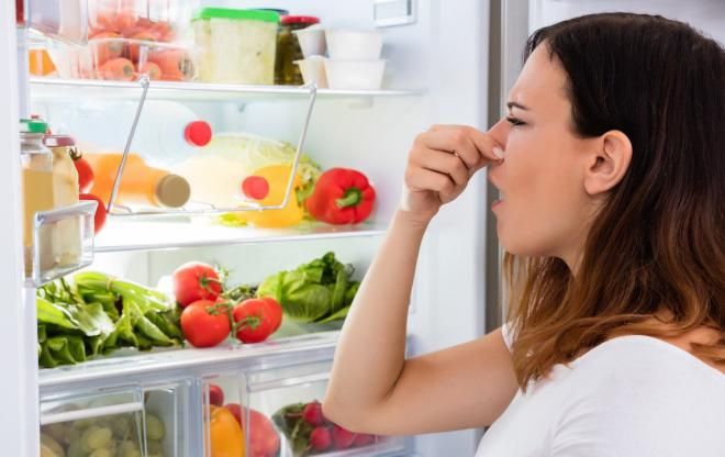 убрать запах из холодильника