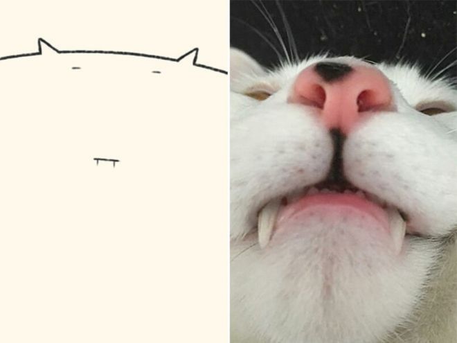 лучший рисунок кота