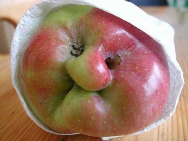 Какое яблочко-милашка