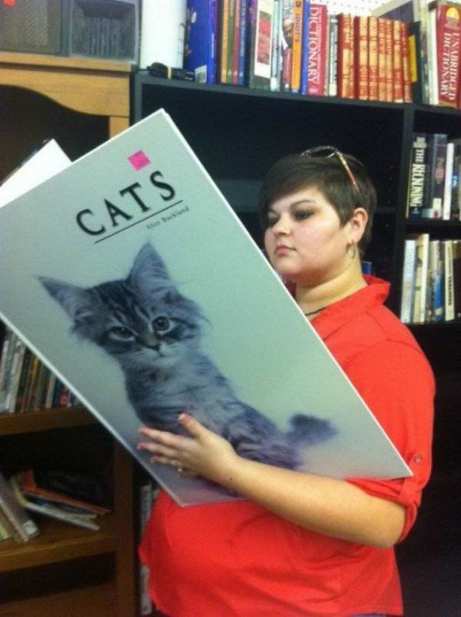 книжки с котиком