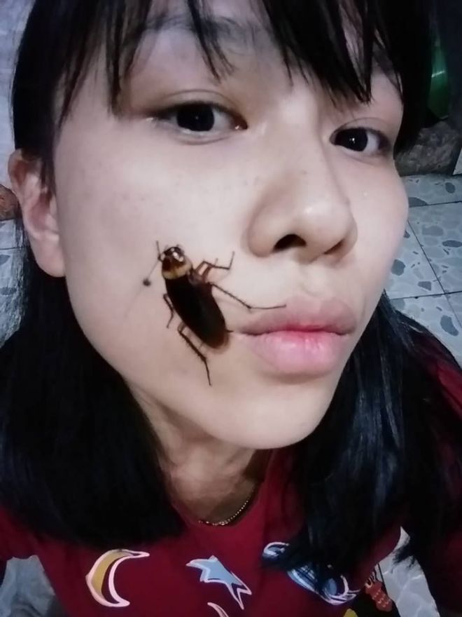 Девушка и тараканы