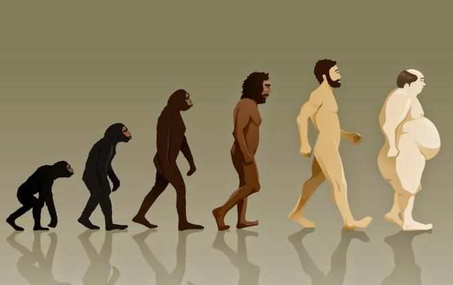 Эволюция улучшает вид