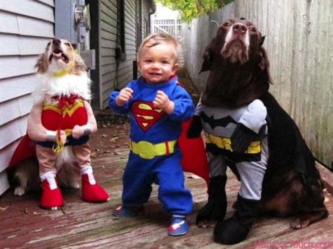 Ребенок и собаки в костюмах супергероев