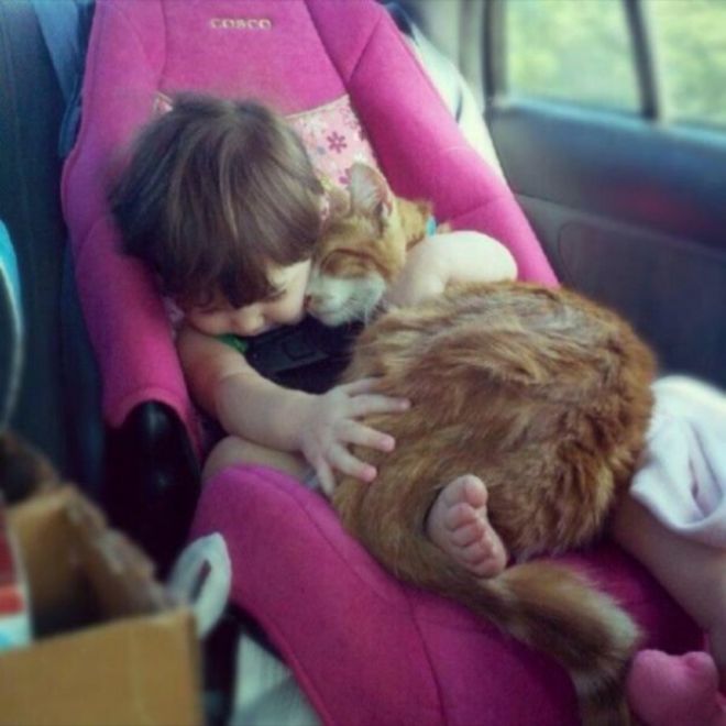 Девочка спит с котом