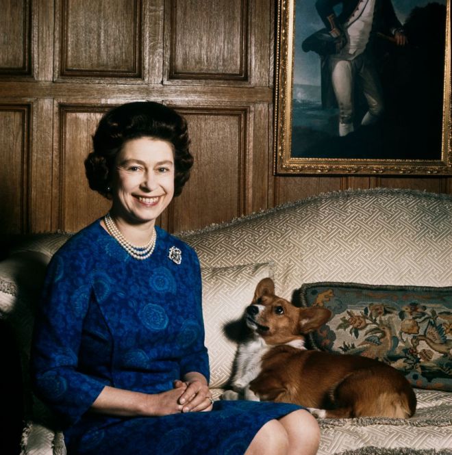 Королева и собака