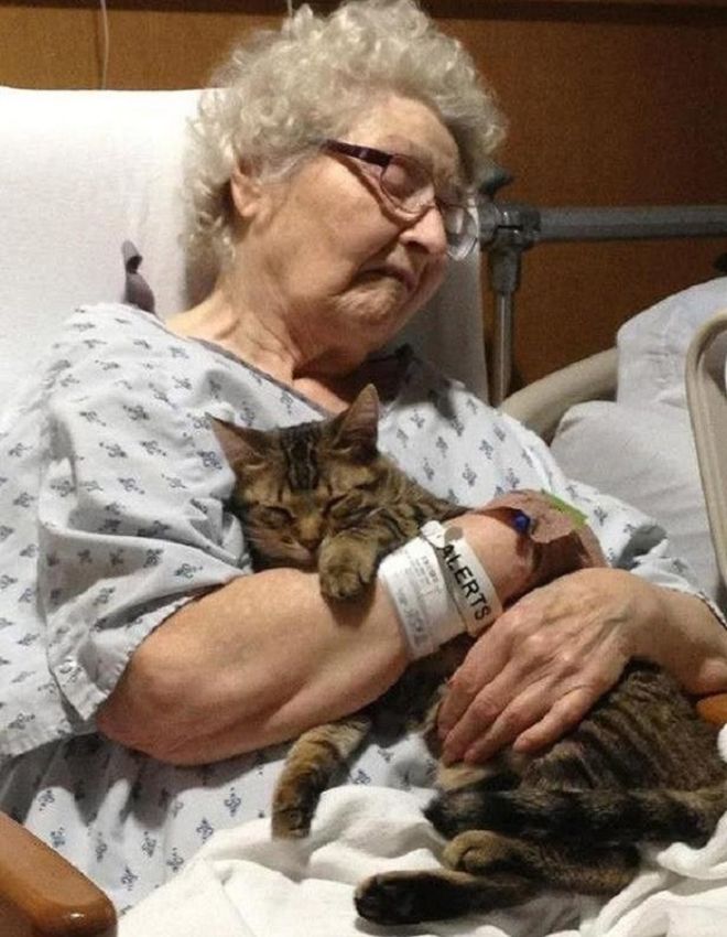 Старушка с котом