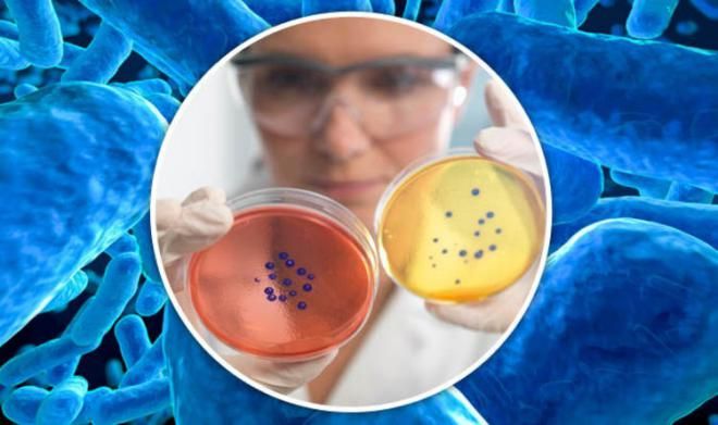 Появление бактерий, устойчивых к антибиотикам