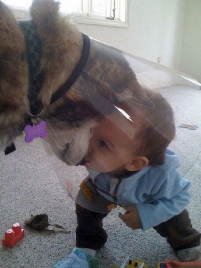 Ребенок заглядывает в конус собаке
